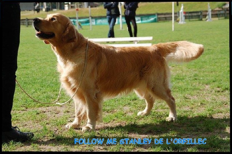 TR. Follow me stanley de l'Orfillec